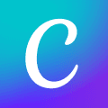 Canva Business logo
